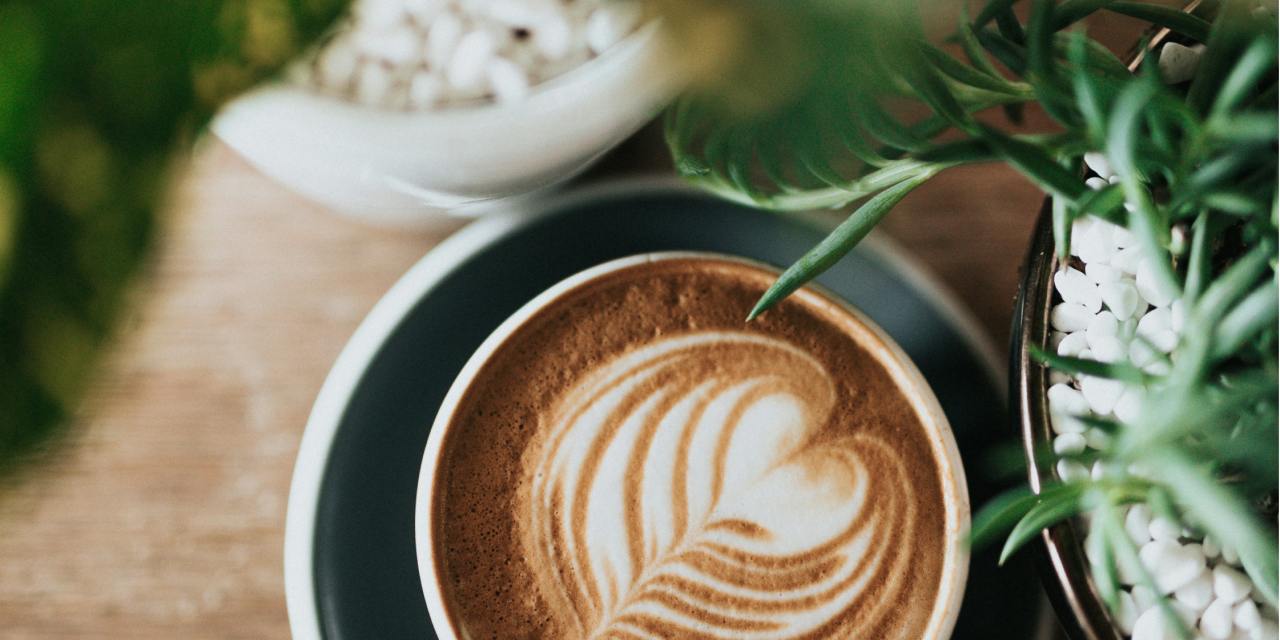 Arabica Coffee Co. website design